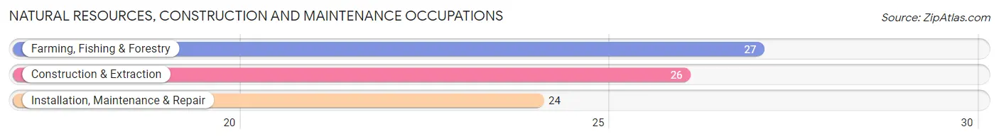 Natural Resources, Construction and Maintenance Occupations in Newton
