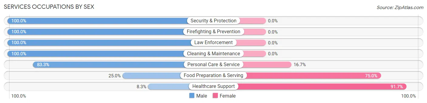 Services Occupations by Sex in Newton