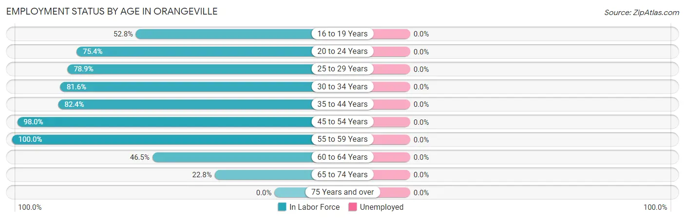Employment Status by Age in Orangeville