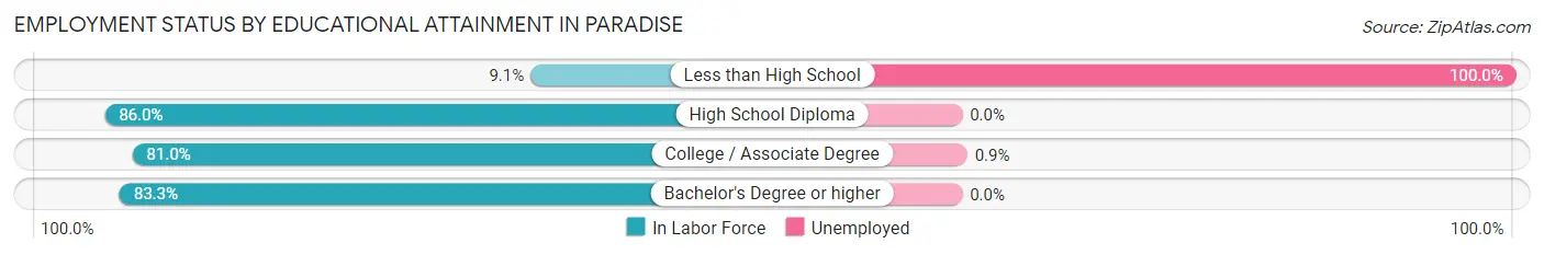 Employment Status by Educational Attainment in Paradise