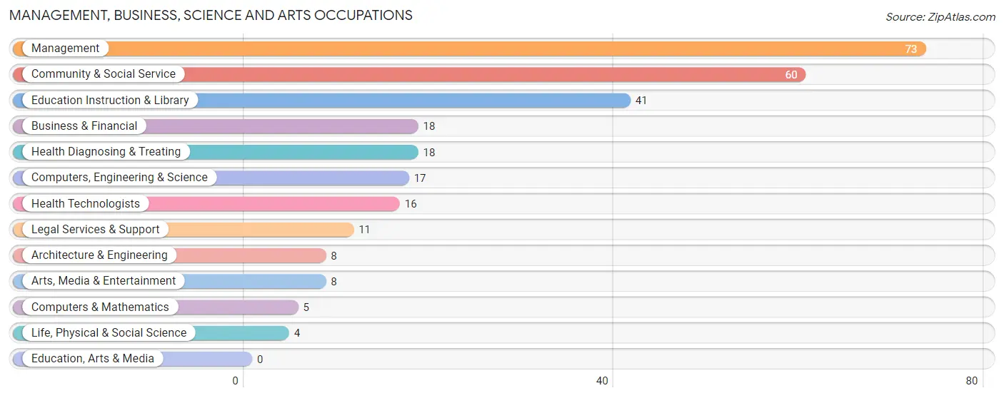 Management, Business, Science and Arts Occupations in Paradise