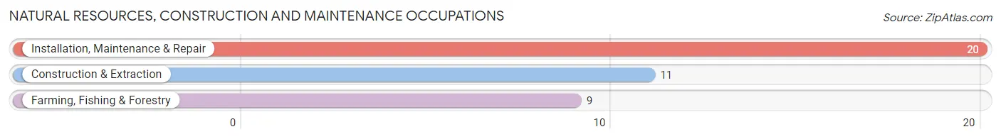 Natural Resources, Construction and Maintenance Occupations in Paradise