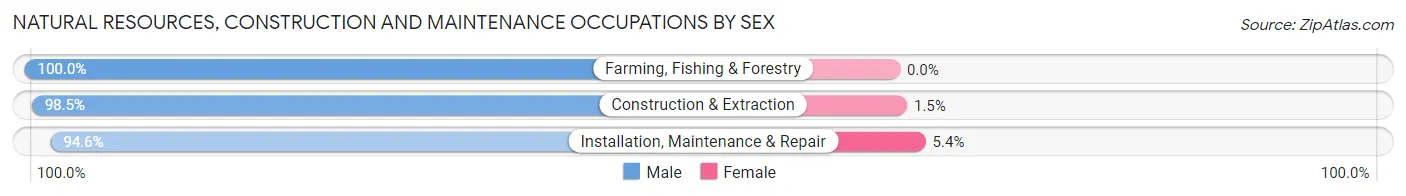 Natural Resources, Construction and Maintenance Occupations by Sex in Pleasant Grove