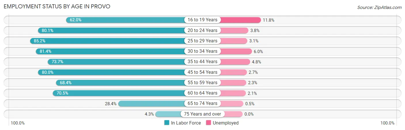 Employment Status by Age in Provo