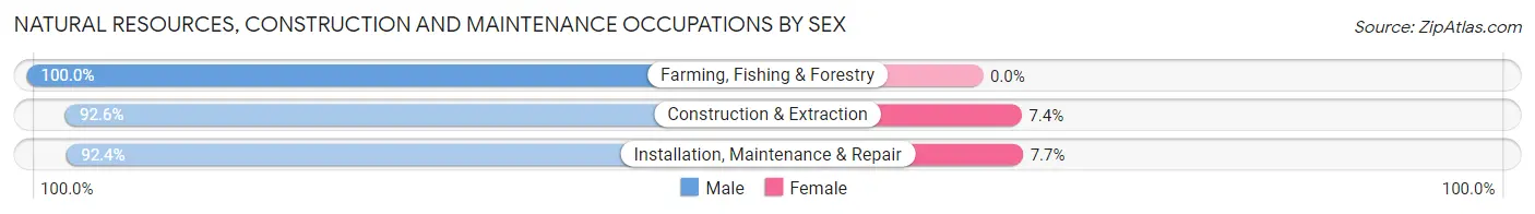 Natural Resources, Construction and Maintenance Occupations by Sex in Provo