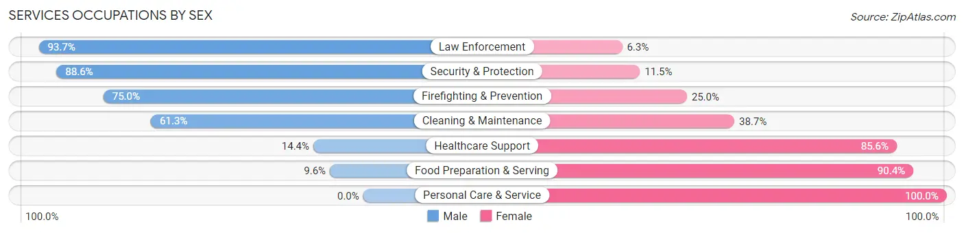 Services Occupations by Sex in Salem