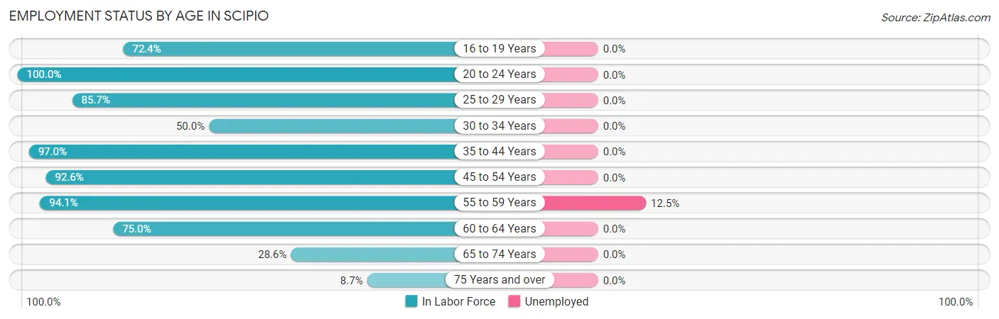 Employment Status by Age in Scipio