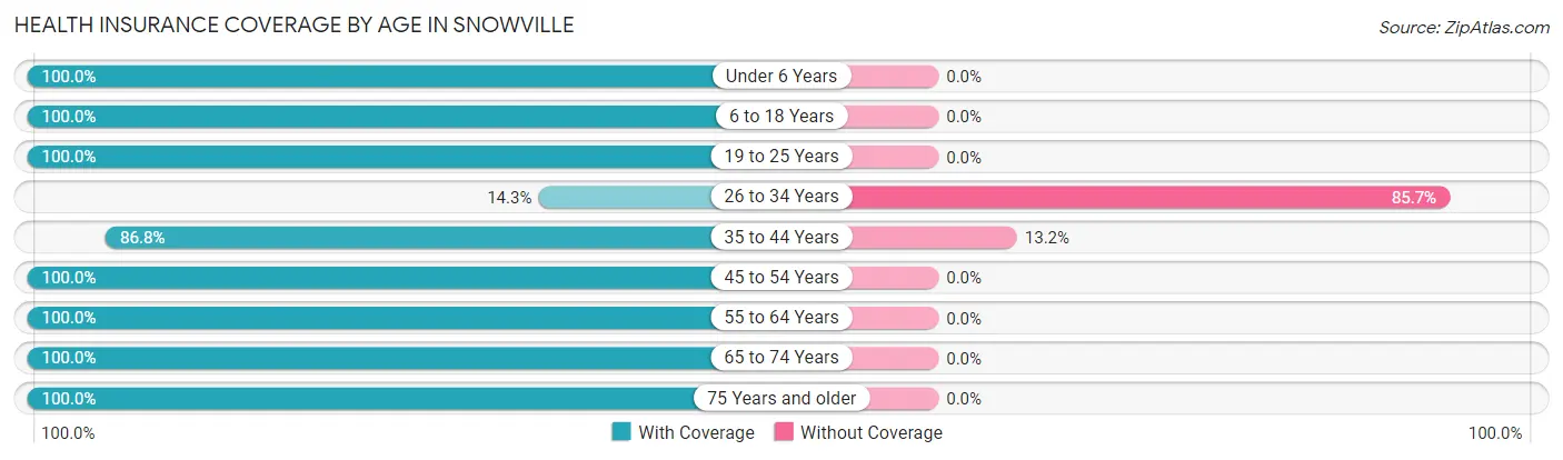 Health Insurance Coverage by Age in Snowville