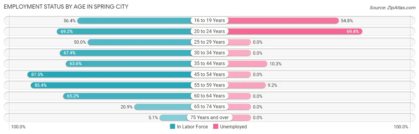 Employment Status by Age in Spring City