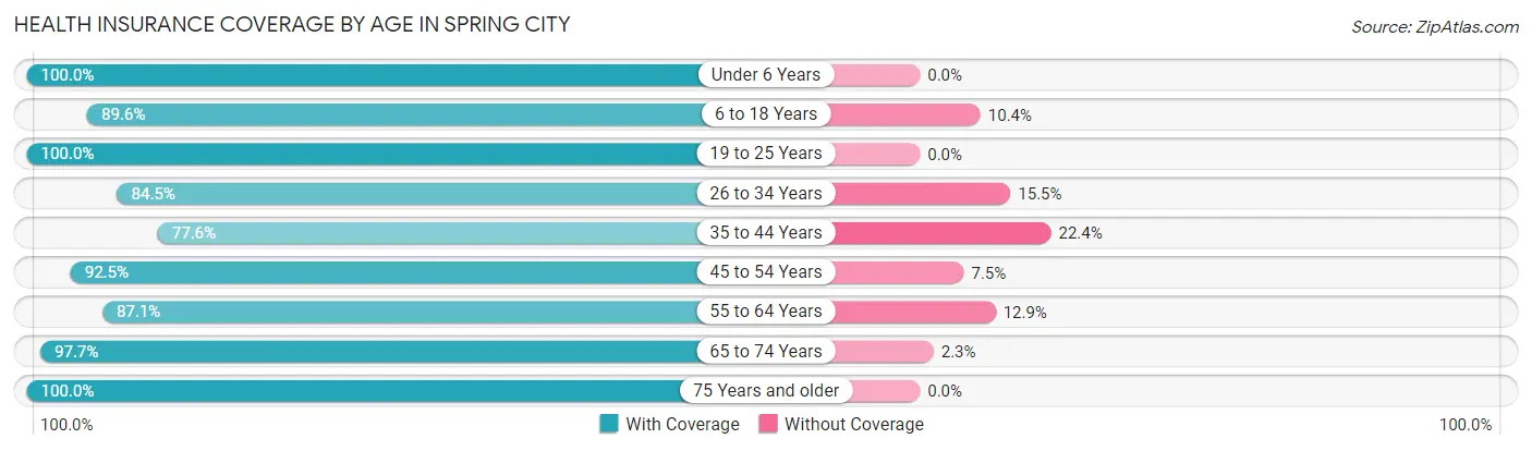 Health Insurance Coverage by Age in Spring City