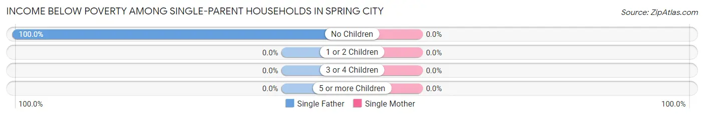 Income Below Poverty Among Single-Parent Households in Spring City