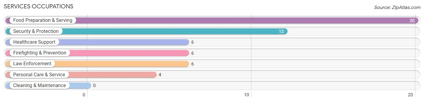 Services Occupations in Spring City