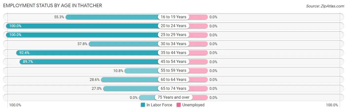 Employment Status by Age in Thatcher