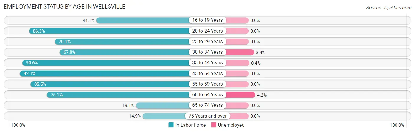 Employment Status by Age in Wellsville