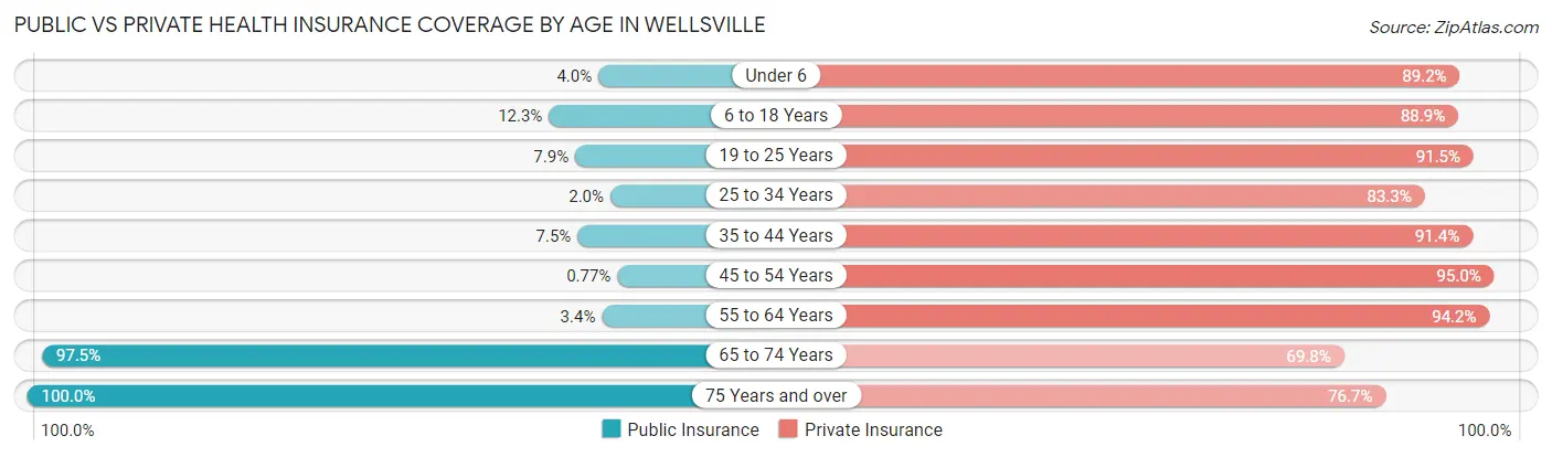 Public vs Private Health Insurance Coverage by Age in Wellsville