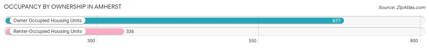 Occupancy by Ownership in Amherst