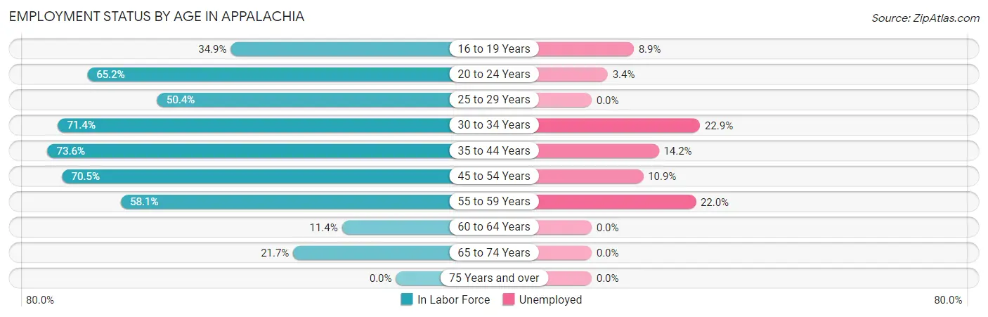 Employment Status by Age in Appalachia