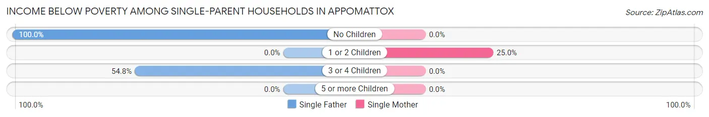 Income Below Poverty Among Single-Parent Households in Appomattox