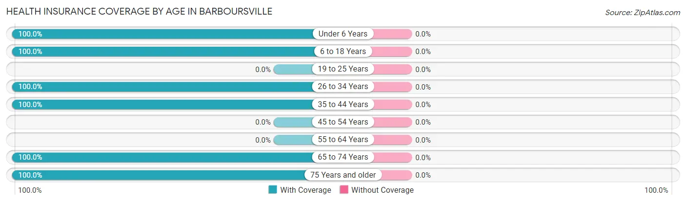 Health Insurance Coverage by Age in Barboursville