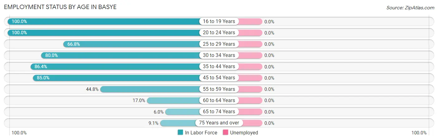 Employment Status by Age in Basye