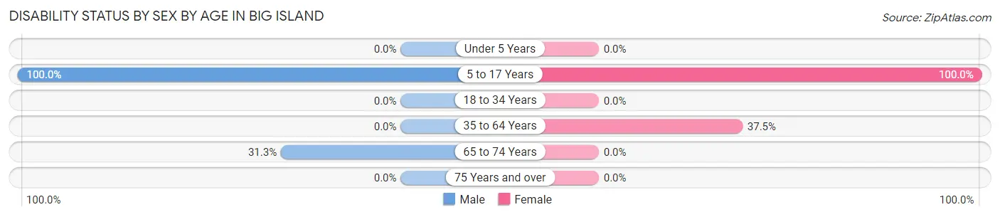 Disability Status by Sex by Age in Big Island