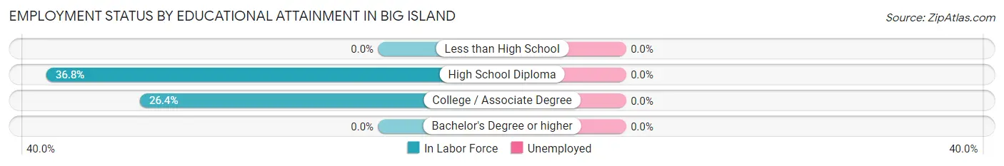 Employment Status by Educational Attainment in Big Island