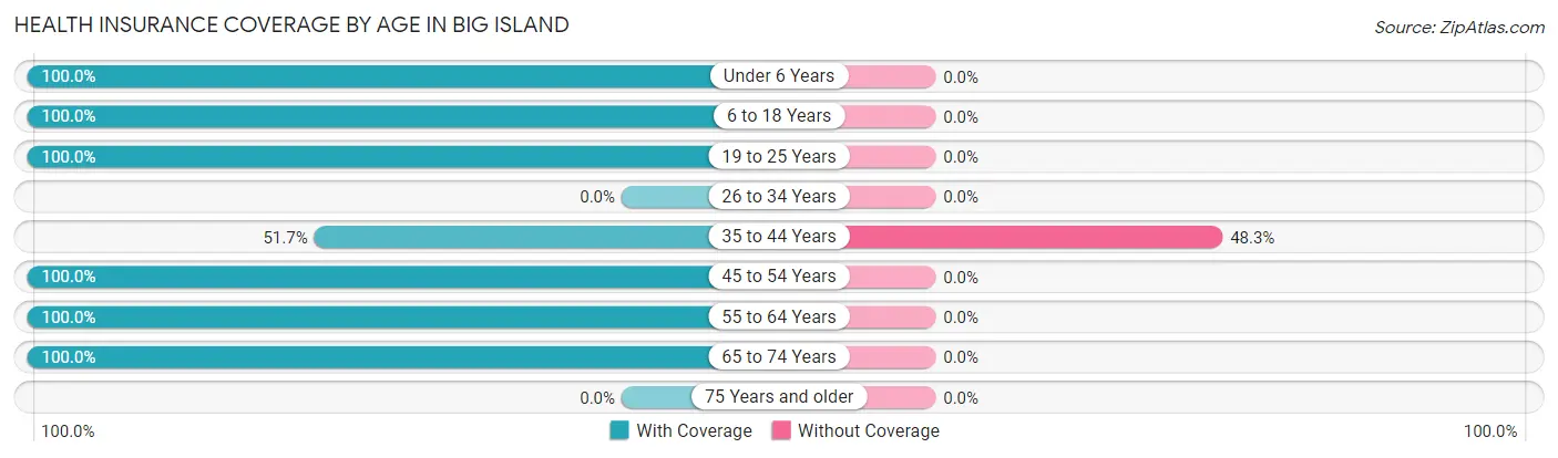 Health Insurance Coverage by Age in Big Island