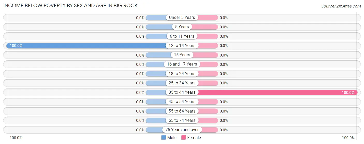 Income Below Poverty by Sex and Age in Big Rock
