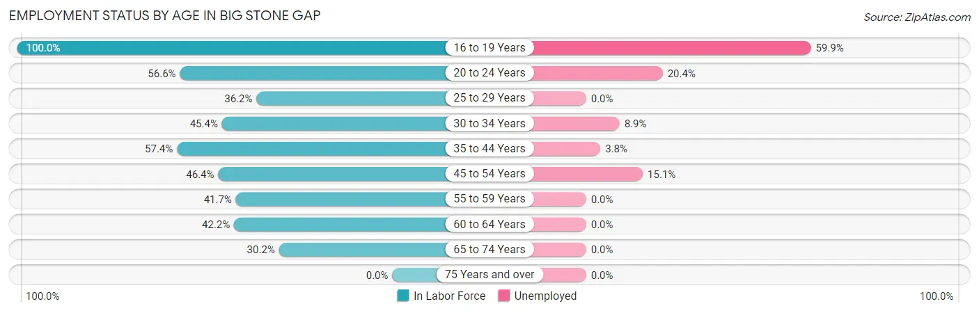 Employment Status by Age in Big Stone Gap