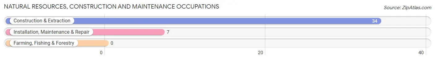 Natural Resources, Construction and Maintenance Occupations in Big Stone Gap