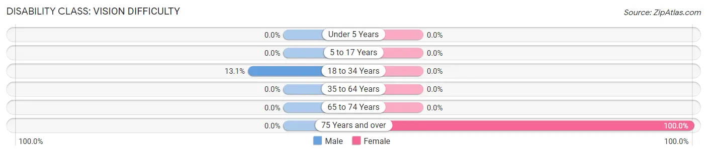 Disability in Boston: <span>Vision Difficulty</span>