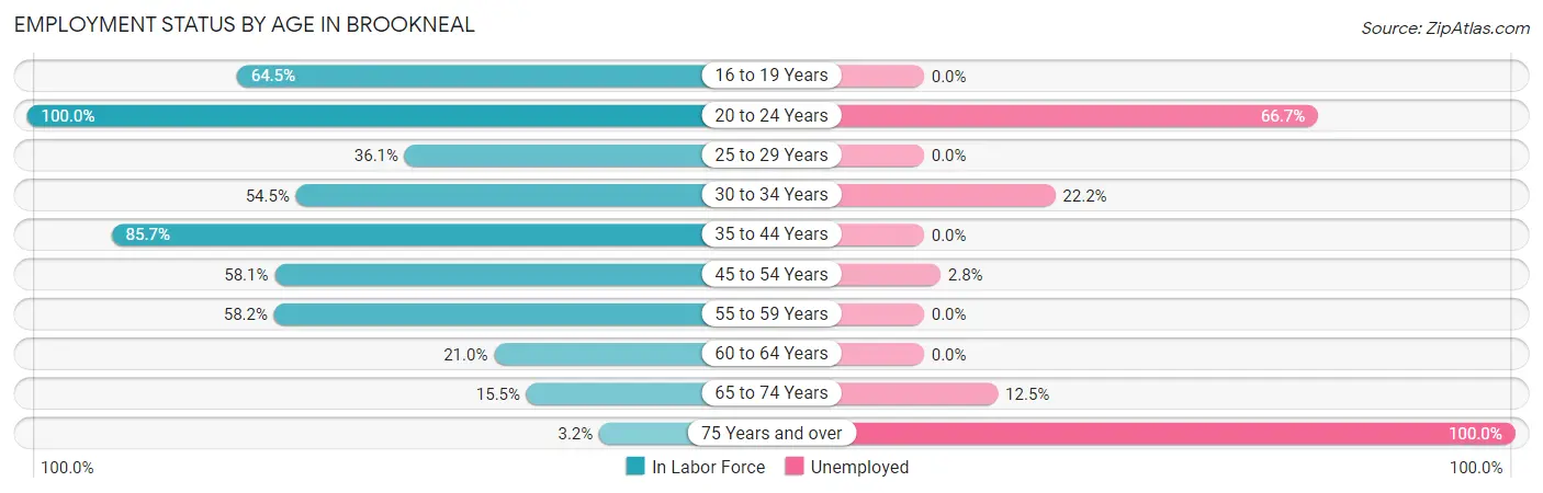 Employment Status by Age in Brookneal