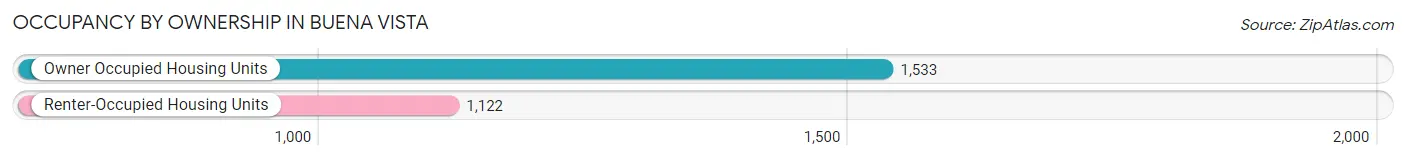 Occupancy by Ownership in Buena Vista