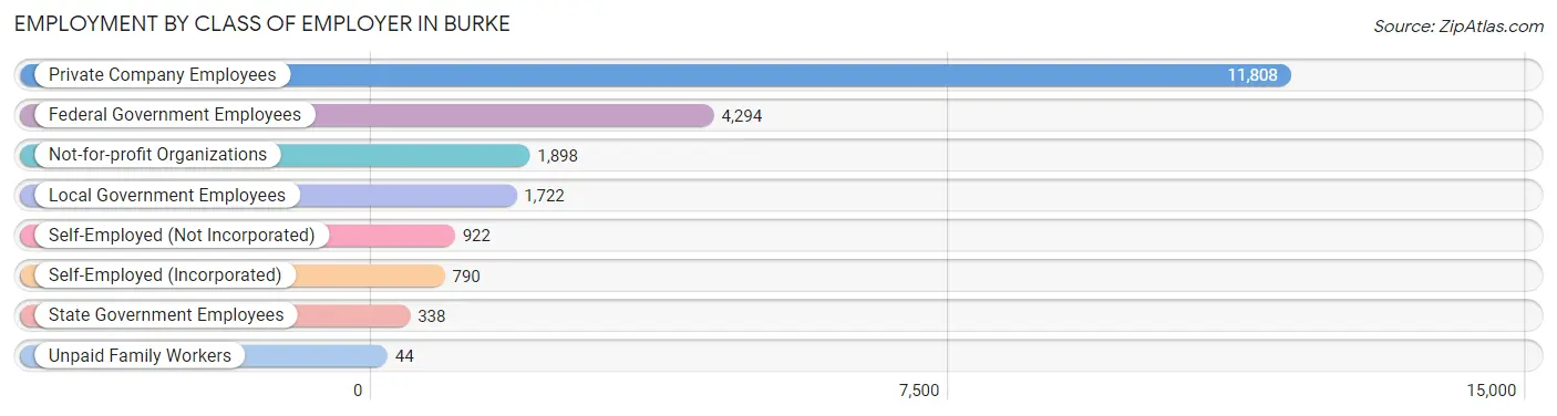 Employment by Class of Employer in Burke