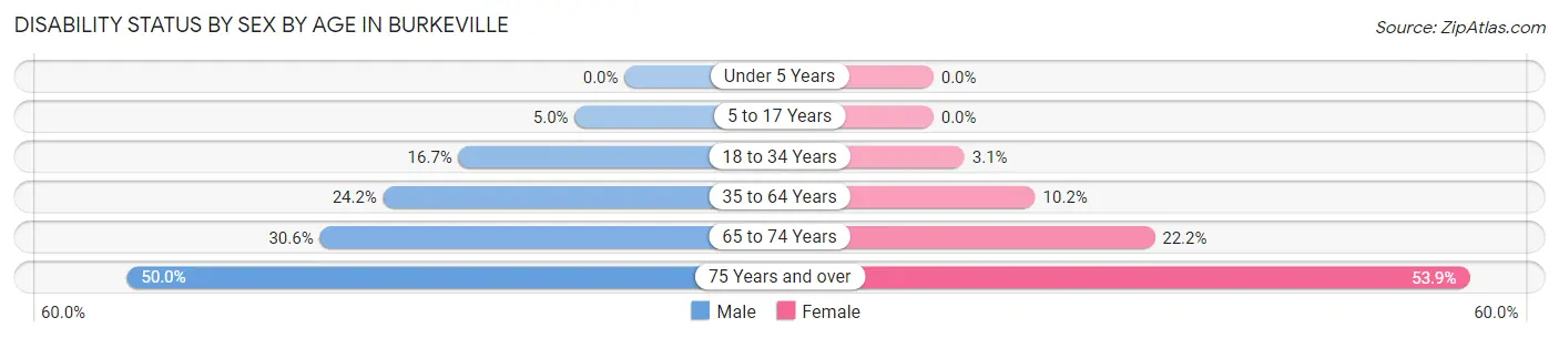Disability Status by Sex by Age in Burkeville