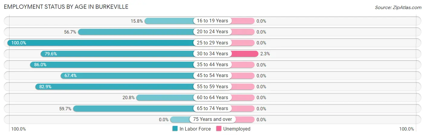 Employment Status by Age in Burkeville