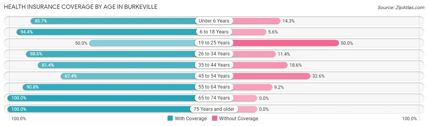 Health Insurance Coverage by Age in Burkeville