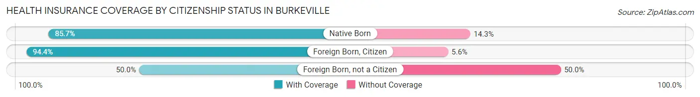 Health Insurance Coverage by Citizenship Status in Burkeville
