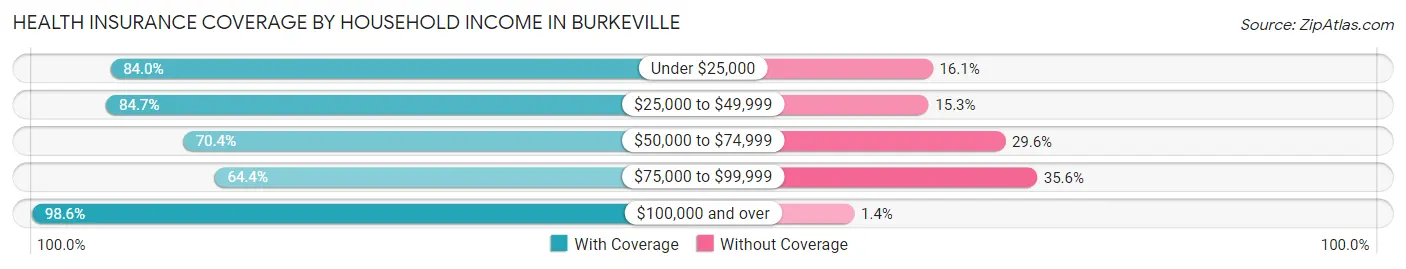 Health Insurance Coverage by Household Income in Burkeville