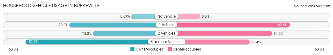 Household Vehicle Usage in Burkeville