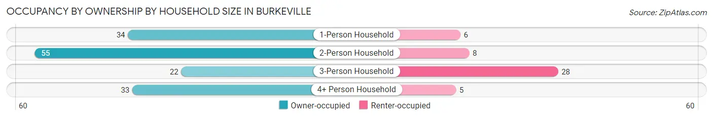 Occupancy by Ownership by Household Size in Burkeville