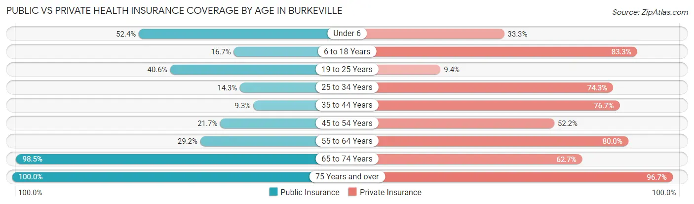 Public vs Private Health Insurance Coverage by Age in Burkeville