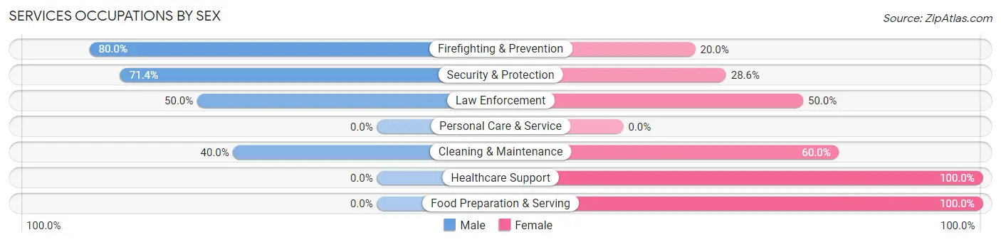 Services Occupations by Sex in Burkeville
