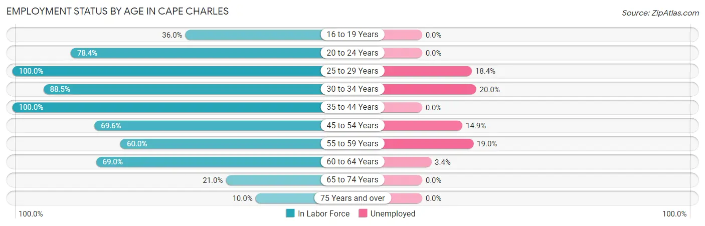 Employment Status by Age in Cape Charles