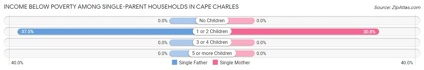 Income Below Poverty Among Single-Parent Households in Cape Charles