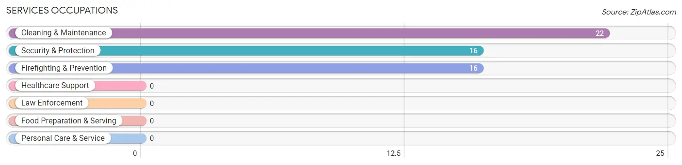 Services Occupations in Castlewood