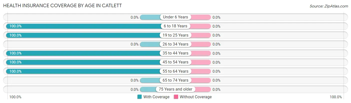 Health Insurance Coverage by Age in Catlett