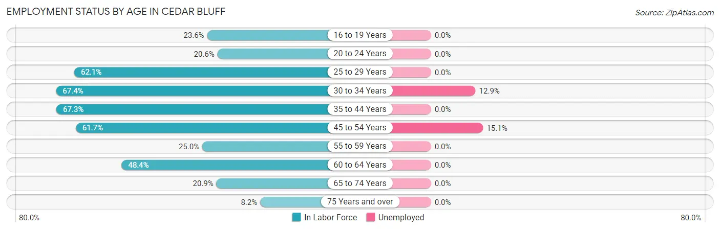Employment Status by Age in Cedar Bluff