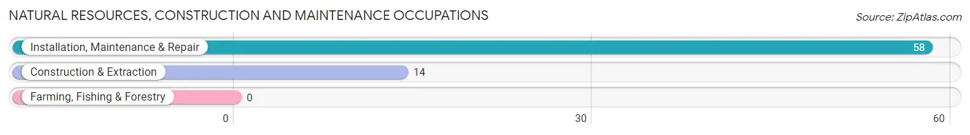 Natural Resources, Construction and Maintenance Occupations in Chatham