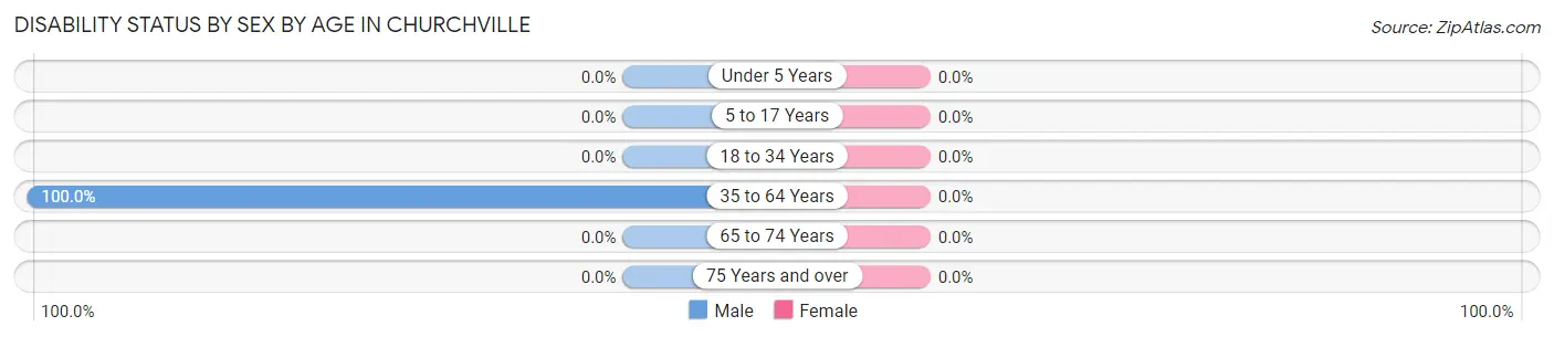 Disability Status by Sex by Age in Churchville